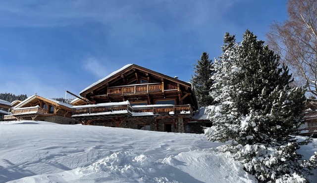 Chalet Marthe 260m2, lake view, 5 stars. Chairlift 300m, center 10mn walk.