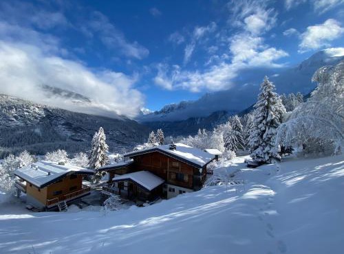 Chalet Mountain Vibes