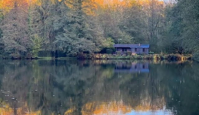 Chalet nature avec étang, terrasse et pêche No Kill - 2 chambres - FR-1-410-383