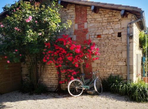 Chalet Nature & chiens de traîneaux