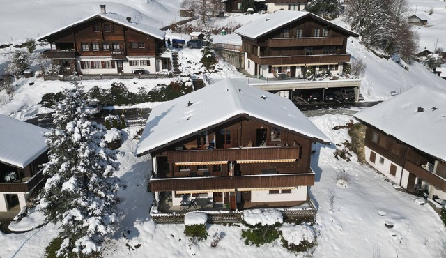 Chalet Oasis - Swiss Ski Retreat