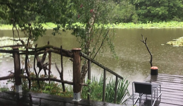 Chalet on the edge of a pond in a site where nature is preserved.fishing, canoes.