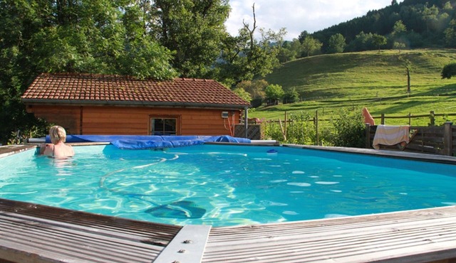 CHALET ON THE FARM WITH MASSIVE SAUNA OF VOSGES - ALSACE