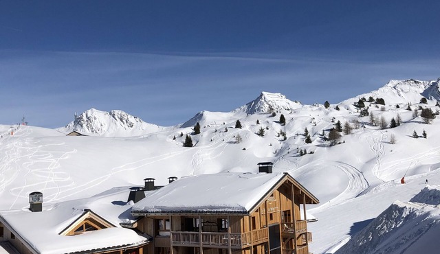 Chalet on the roof - 16 people - Plagne Villages - 2100m