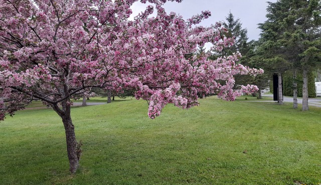Chalet on the shores of Lac Long in Temiscouata