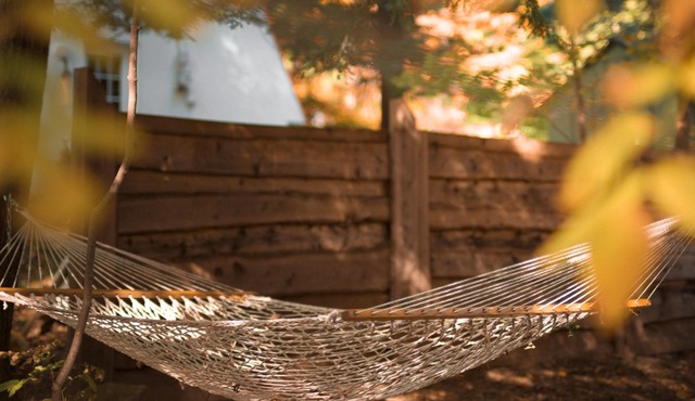 Chalet Oslo, Turn Key Amenities + Pet Friendly + Dedicated Workspace with Hi Speed WiF