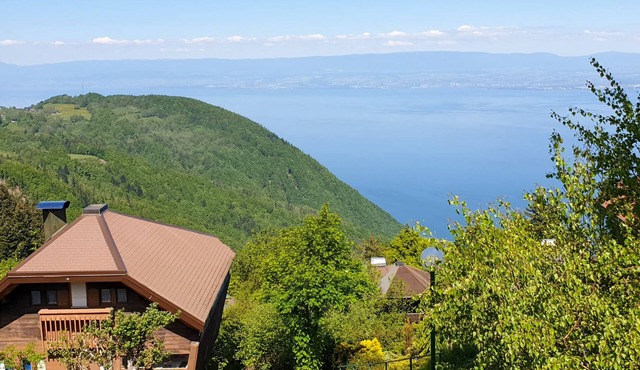 Chalet overlooking Lake Geneva