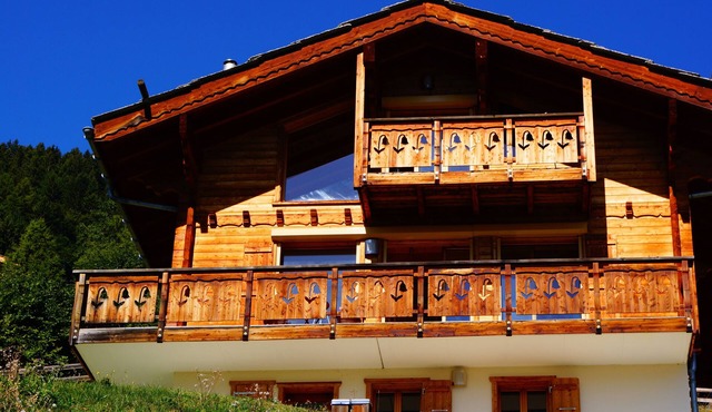 Chalet panoramic view in the sun, terrace, sauna, 4 Valleys domain and trails