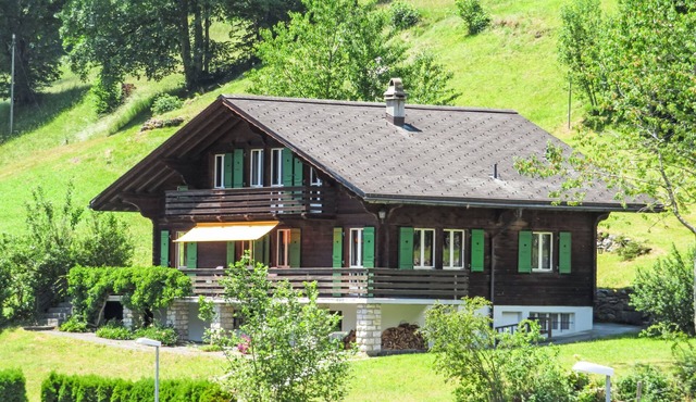 Chalet Pitschun by Interhome