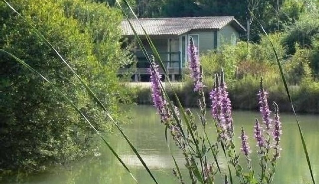 Chalet Rental - Chef Boutonne - Poitou Charentes