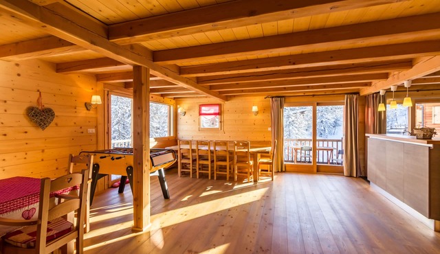 Chalet rental in Vars-les-Claux for 12 guests