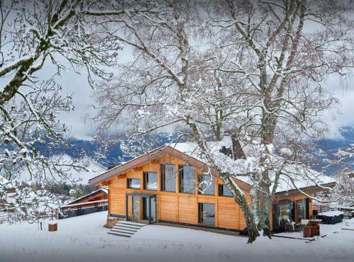 Chalet RevAlp - OVO Network