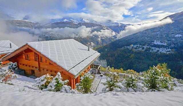 Chalet Roche des 4 Vallées