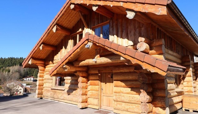 Chalet "rondins des Bois", 500m du Lac, Kota Grill, Sauna et Balnéo, Wifi