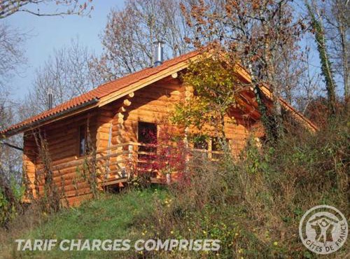 Chalet rustique avec poêle à bois - 3 pers, animaux admis - FR-1-496-187