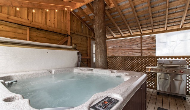 Chalet rustique avec VUE et SPA