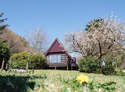 Chalet Sandpiper Lodge by Interhome