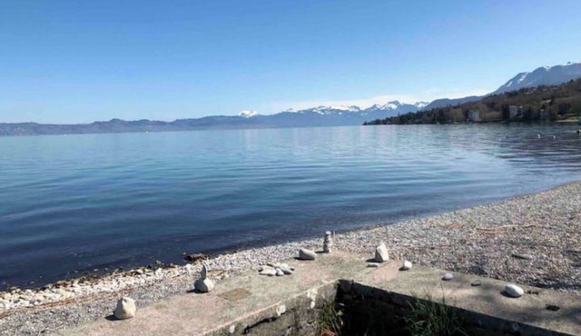 Chalet Savoyard facing Lake Geneva