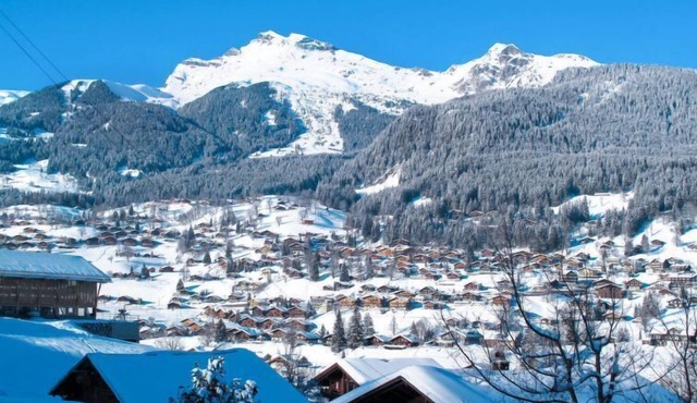 Chalet Schwendihus by Interhome