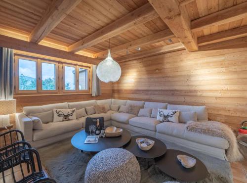 Chalet skis aux pieds avec jacuzzi et sauna - FR-1-645-41