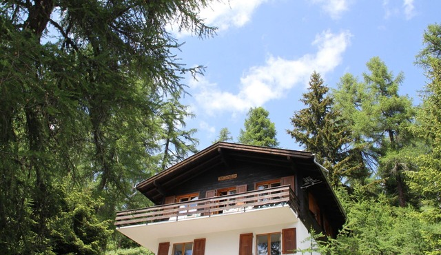 Chalet Soldanella (BEL205) by Interhome