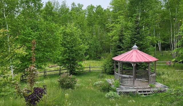 Chalet Spa Hideaway! Private forest getaway with nordic spa.