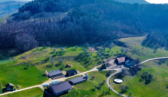 Chalet Staufenhof by Interhome