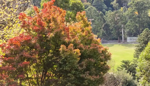 Chalet - stunning Yarra Valley views