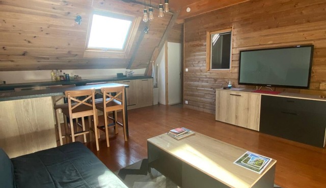 Chalet-style apartment.