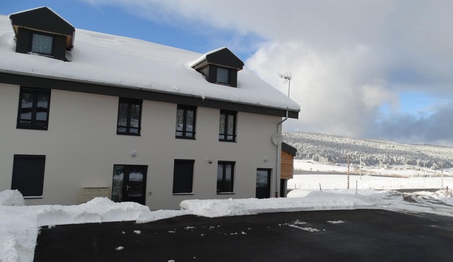 chalet-style apartment, 5 minutes from the ski slopes