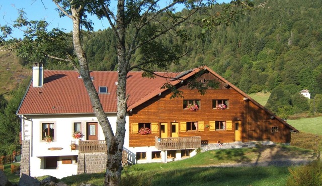 Chalet style apartment, quiet environment and mountain sports nearby