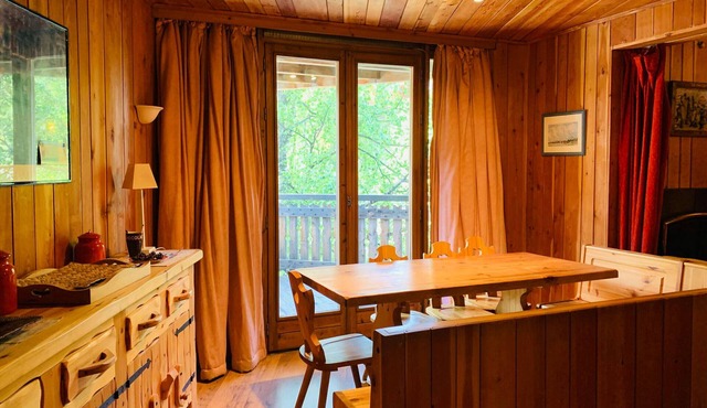 Chalet-style apt 4/5 pers, center of resort, 50m from slopes