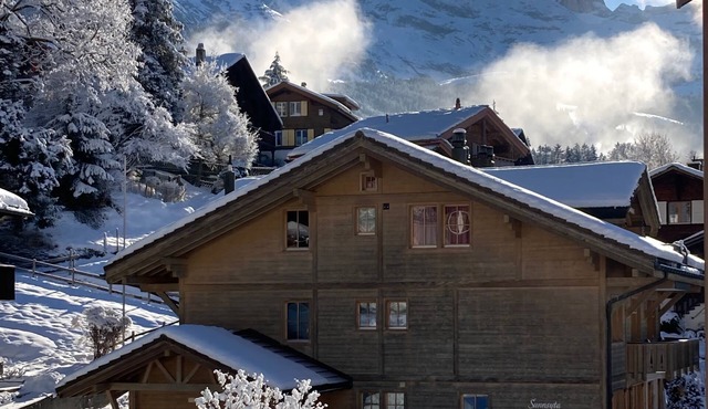 Chalet Sunnsyta, sunny apartment