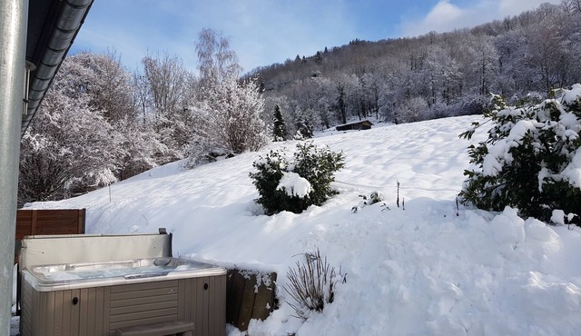 Chalet swimming pool spa sauna ski resort Hohneck-La Bresse-Gerardmer-Lispach