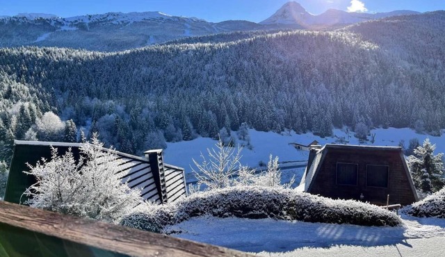 Chalet, terrace, balcony, tv, 70m², Villard de Lans