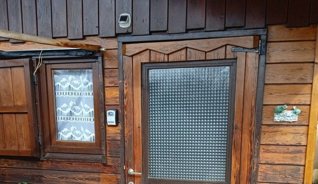 Chalet the dreaming cat