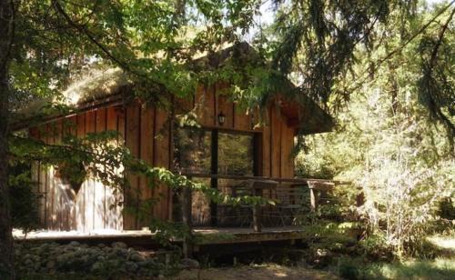 Chalet toit vegétalisé