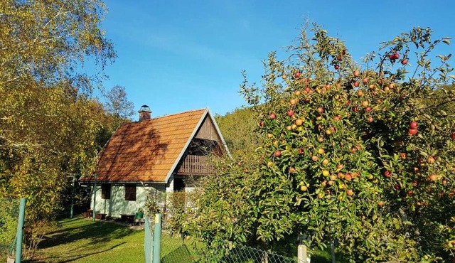 Chalet Tomljenović