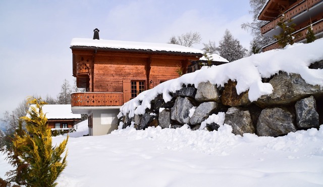 Chalet Trinitas, Veysonnaz/Les Agettes wifi and Infra red cabin
