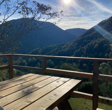 Chalet typique des Pyrénées