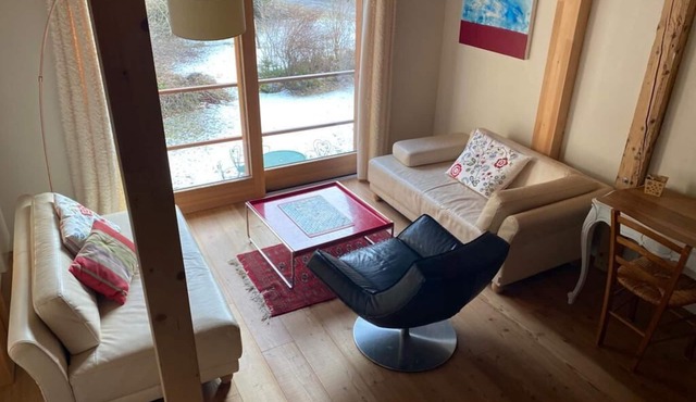 Chalet - VacheresseBig house