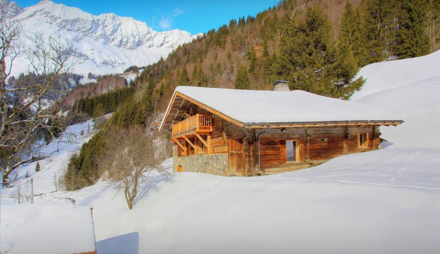 Chalet Victorina - stunning ski home for 12, close to slopes - OVO Network