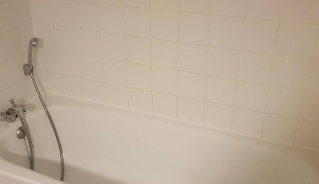 Chalet, view mountain, terrace, parking, tv, ski locker, 55m², La Joue du Loup