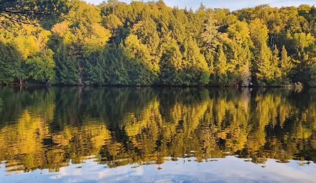 Chalet: Waterfront Cottage for Rent - Madawaska River, Calabogie