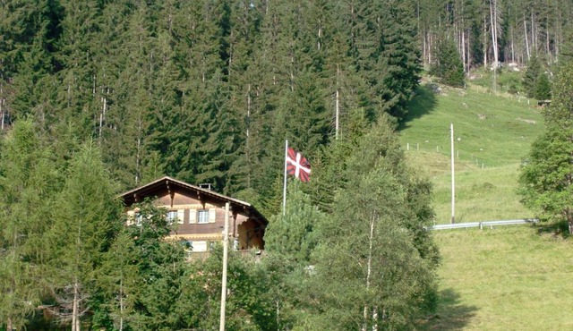 Chalet Weidli