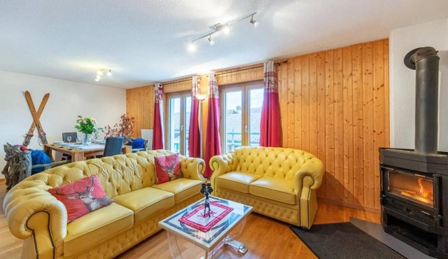 Chalet, wifi, 200m from resort center, view mountain, balcony, fireplace or stove, tv, ski locker