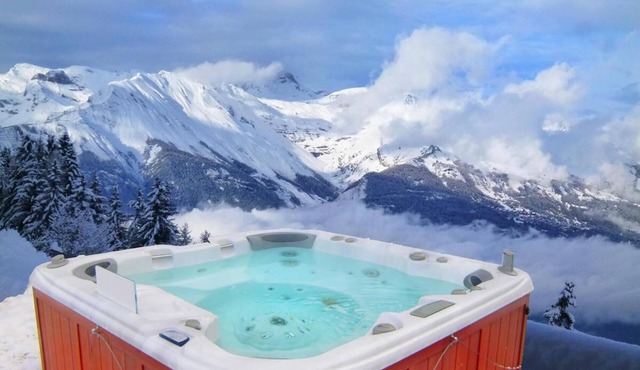 Chalet, wifi, ski-in/ski-out & foot of the slopes, fitness, sauna, terrace, balcony