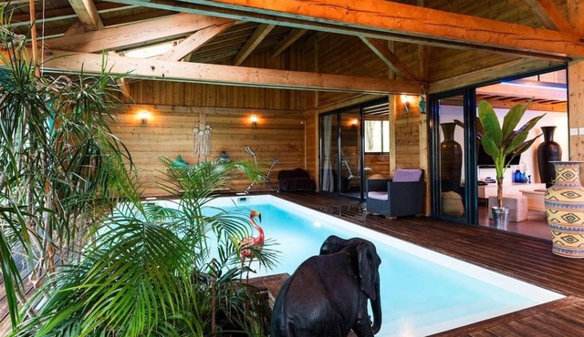 Chalet with inter jacuzzi pool + 10 ha park