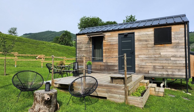 Chalet with mountain view