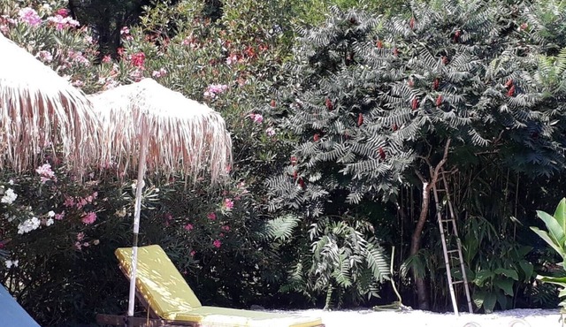 Chalet with pool between Orange Avignon Chateauneuf du pape.